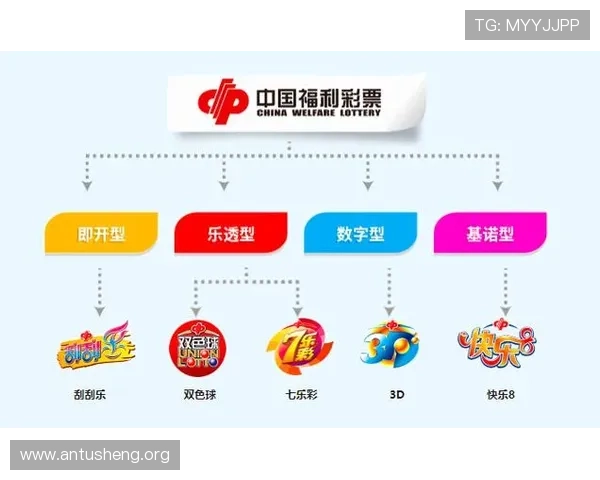 基诺型彩票规律研究与实战技巧，助你在彩票游戏中实现持续盈利的全面指南
